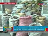 BP: Halos 100 sako ng shellfish na   positibo sa red tide toxin,   nasabat sa Dagupan