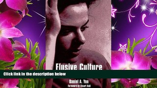FREE [PDF]  Elusive Culture: Schooling, Race, and Identity in Global Times (Suny Series,