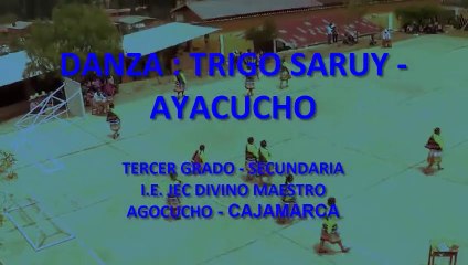 DANZA TRIGO SARUY - AYACUCHO - PERU