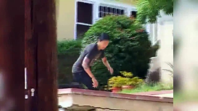 Лучшие Приколы в Coub 61 Яблочко калинка!.. пьяные приколы Приколы с детьми пьяные