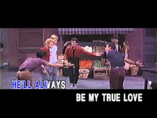 [THE BEST COLLECTION OF LOVE SONGS] I WILL FOLLOW HIM - VOL 7