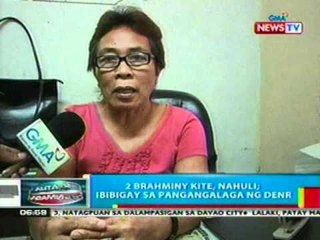 BP: Itlog ng inahing manok sa Pangasinan, mas maliit pa sa itlog ng pugo