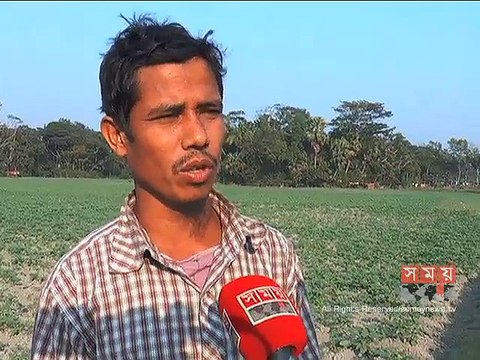 অকাল বৃষ্টিতে ব্যাহত চাঁদপুরের সবজি উৎপাদন, বিপাকে কৃষকেরা