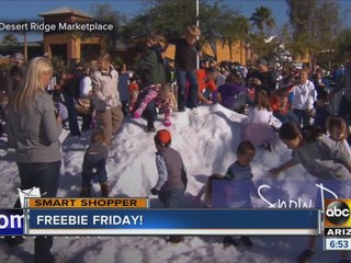 Smart Shopper: Desert Ridge Marketplace bringing in snow