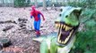 Spiderman vs Trex JOKER Kidnapped Baby TRex Spiderman Funny Superhero Video TRex Poo Prank