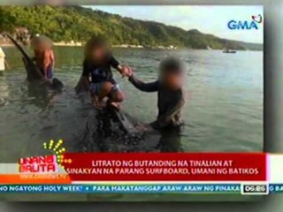 UB: Litrato ng Butanding na tinalian at sinakyan na parang surfboard, umani ng batikos (040312)