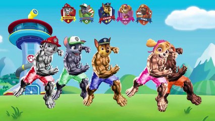 Learning Colors with 3D Pacman Fruit for Kids Children Toddlers 2017