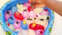 NEW Finger Family Song with Insects Wet Balloons - Learn Colors Nursery Rhymes songs for babies