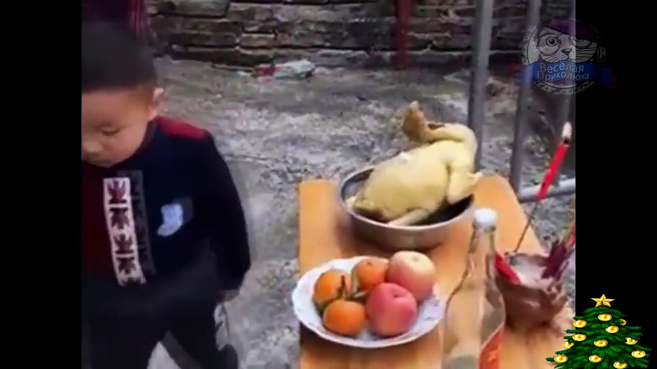 Приколы 2017- УГАРНЫЕ ПРИКОЛЫ ДО СЛЕЗ - Новые смешные видео - лучший тест на психику