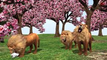 Lion Vs Snake Nursery Rhymes - Preschool Kids Nursery Rhymes - Learning Animals