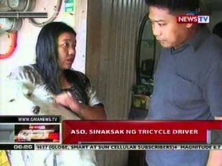 QRT: Aso sa Ilocos, sinaksak ng tricycle driver