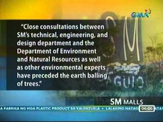 UB: Paghuhugot ng puno ng SM   Baguio para makapagtayo ng   parking lot, sinalubong ng   protesta