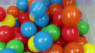 Ball Pit Show for Learning Numbers   Children's Educational Video