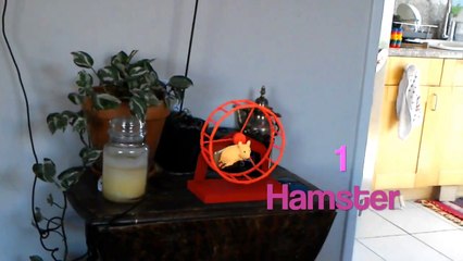 Hololens KIDS LEARN NUMBERS With Hologram Play in AR!