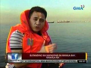 24oras: Butanding na napadpad sa   Manila bay, nawala na