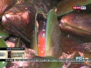 OC: Shellfish ban sa Pangasinan, inalis   na