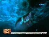 24oras: Pagsasadula mula sa   dokumentaryong 'Inside the   Titanic'