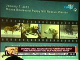 24 Oras: Grupong Cara, nagsagawa ng fundraising event para maipagamot ang mga inabusong hayop