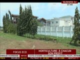 Business 24 Focus Eco  Horticulture a chacun son profit