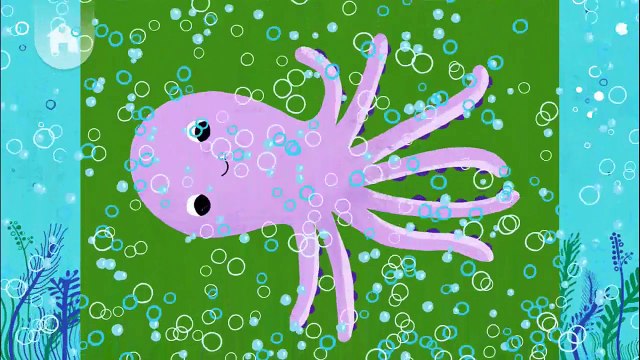 Animal Match Up Learn Animal Names Combined Real Animals Sea Animals Funny Videos