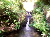 Waterfall in Bodnant Gardens Wales