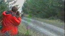honda-civic-rally crash