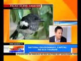 NTG: Eco Tourism is More Fun in the Philippines