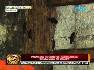 24 Oras: Pagawaan ng sorbetes sa Maynila, nadiskubreng binabahayan ng mga ipis