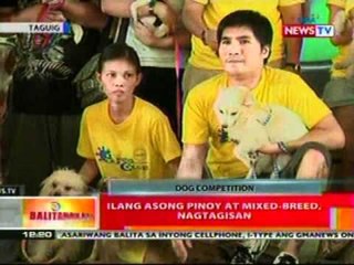 BT: Ilang asong Pinoy at mixed-breed,   nagtagisan sa Taguig
