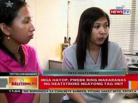 BT: Mga hayop, pwede ring makaranas ng heatstroke ngayong tag-init