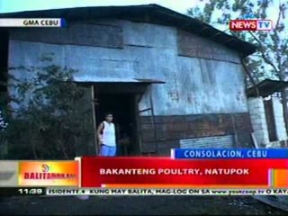 BT: Bakanteng poultry sa Cebu, natupok ng   apoy