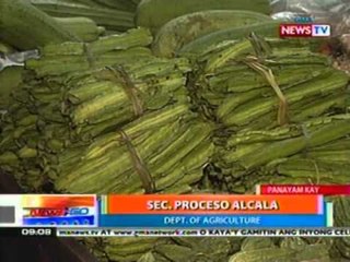 NTG: Panayam ng News to Go kay Dept. of Agriculture Sec. Proceso Alcala (050312)