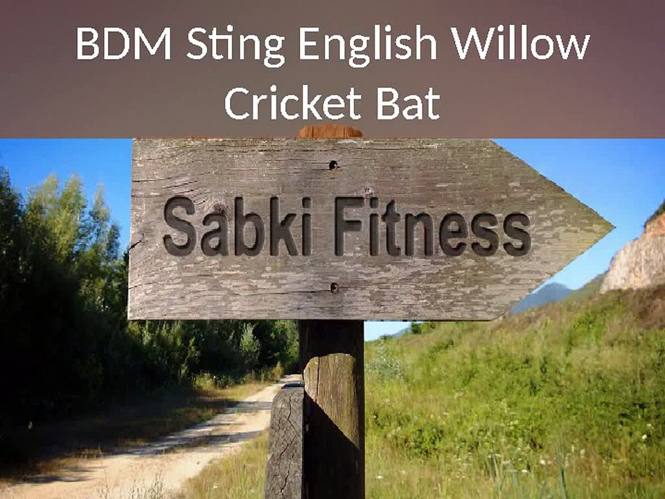 BDM_Sting_English_Willow_Cricket_Bat_-_Sabkifitness.com