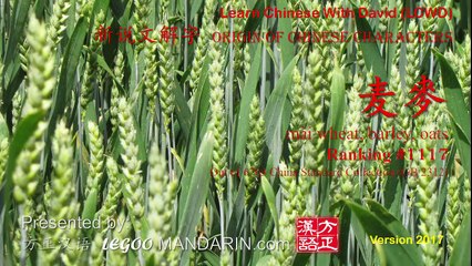 Origin of Chinese Characters - Radical 143 炊事篇  麦 wheat - Learn Chinese with Flash Cards