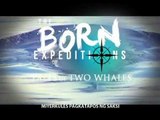 Pagpapatuloy ng Tales of Two Whales sa The Born Expeditions