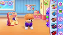 Boo The Worlds Cutest Dog Android Gameplay Trailer
