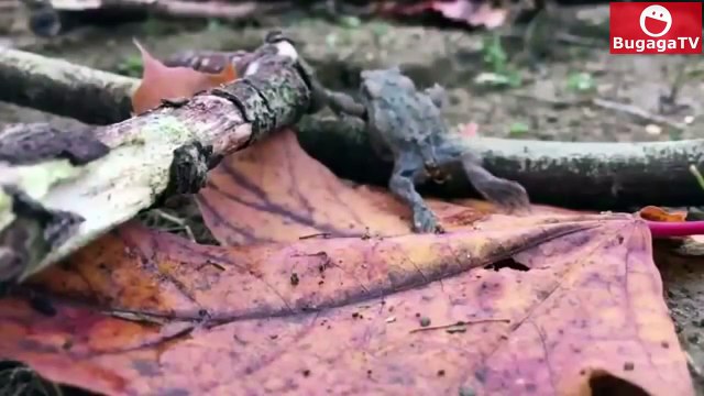 [BugagaTV] Overwatch в реальности | Приколы и Фейлы 2016 Ноябрь #1