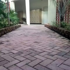 A mourire de Rire #3 - Vidéo Insolite