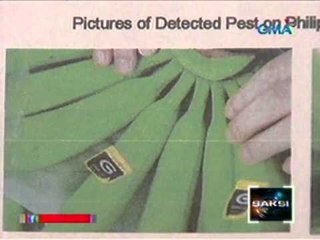 Saksi: Dept. of Agriculture, iimbitahan ang Chinese authorities sa mga plantasyon ng saging sa bansa