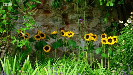 cBeebies Children Cartoon . Teacup Travels . s02e03 . Cowrie Shells
