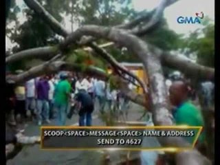 24 Oras:  2 patay matapos mabagsakan ng puno ang isang pampasaherong jeep