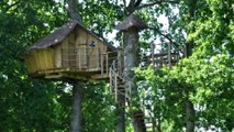 20 COOLEST Treehouses In The World