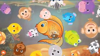 Kids Learn Sea Animals & Water Animals with Puzzles and Real Clips Android Gameplay Video