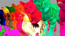 Learn Colors with Colorful Cats For Children    Learn with 3D Animals    Kids Learning Videos