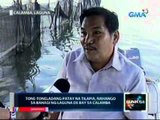Saksi: Tone-toneladang patay na Tilapia, nahango sa bahagi ng Laguna de Bay sa Calamba