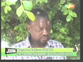 13 pays sont en montage de monocuture au mali organiser par africa rail