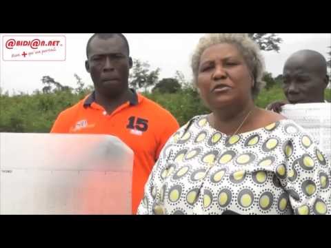 Foncier rural: l'appel des propriétaires terriens du quartier Kokrénou résidentiel