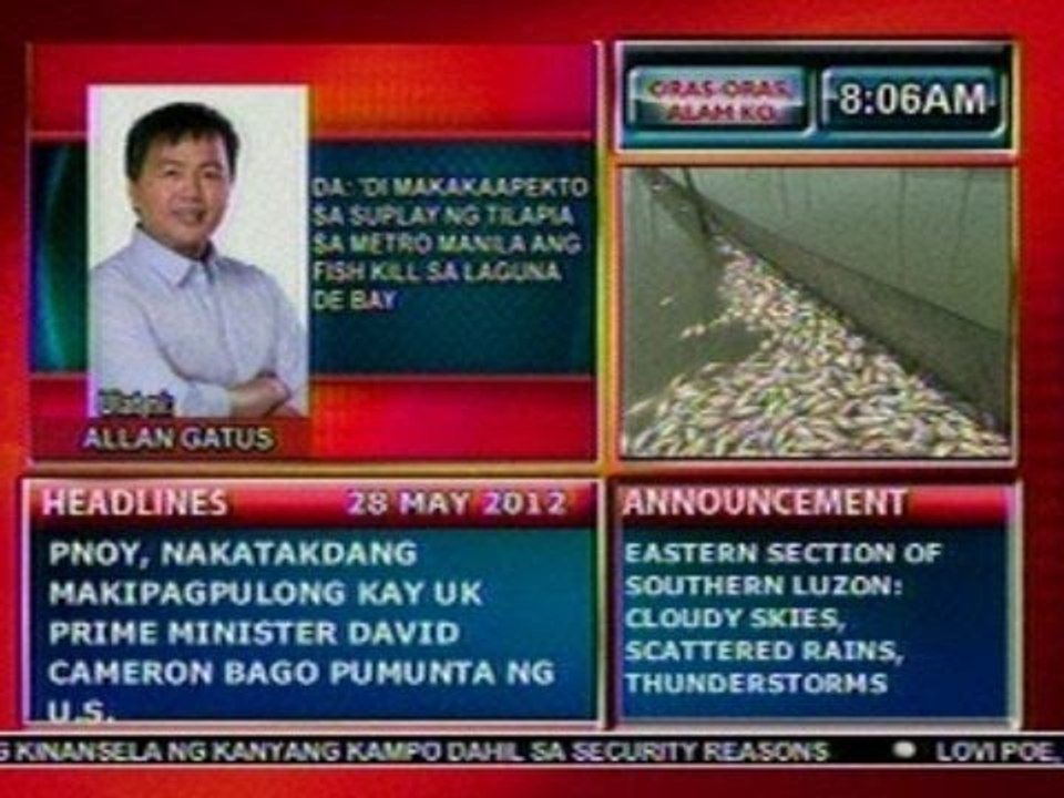 DB: DA: 'Di makakaapekto sa suplay ng tilapia sa Metro Manila ang fish kill sa Laguna De Bay