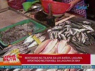 UB: Bentahan ng tilapia sa Los Baños, Laguna, apektado ng fish kill sa Laguna De Bay (052812)