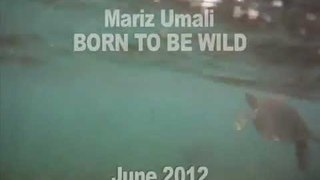 Si Mariz Umali at ang mga pawikan ng Apo Island, ngayong Hunyo sa Born to be Wild!